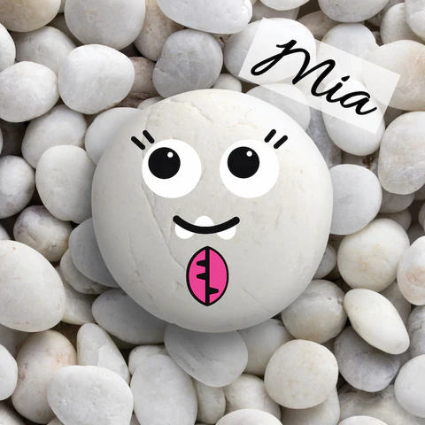 Pet Rock - Mia