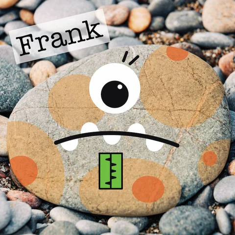 Pet Rock - Frank